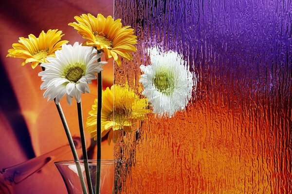 Foto di fiori luminosi in colori arcobaleno