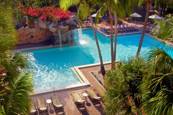 La station tropicale est le repos, la piscine, la natation