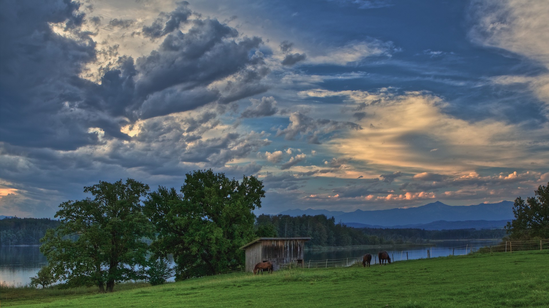 horses outdoors landscape daylight sky tree grass agriculture travel nature farm cloud mountain barn countryside scenic