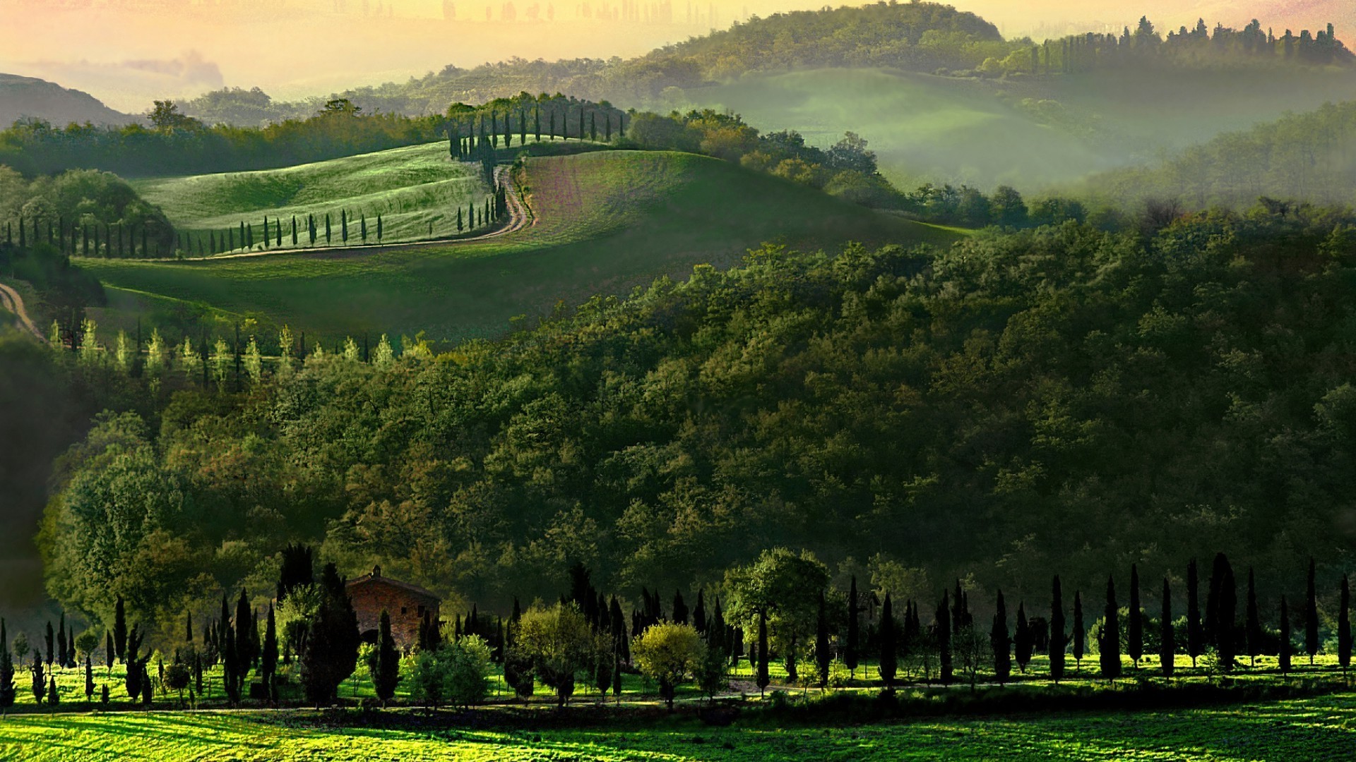 paysage arbre paysage herbe nature agriculture en plein air campagne voyage bois champ ciel été foin rural ferme aube