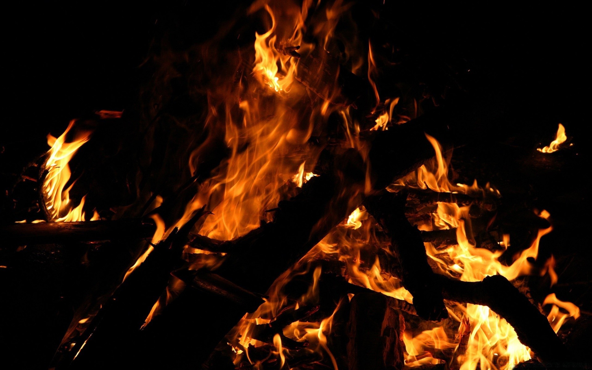 fogo chama fogueira fogueira lareira calor quente inferno lenha queimar blaze fogo acender inflamável carvão perigo queimado carvão calor língua fumaça