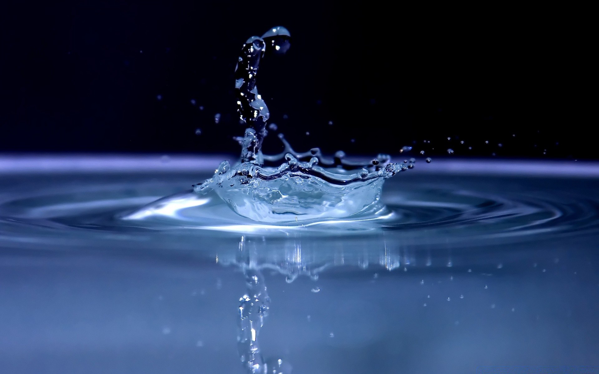 gotas y agua gota splash movimiento gotas mojado ondulación limpieza burbuja líquido limpio beber punta de goteo flujo lluvia impacto agua frío líquido onda