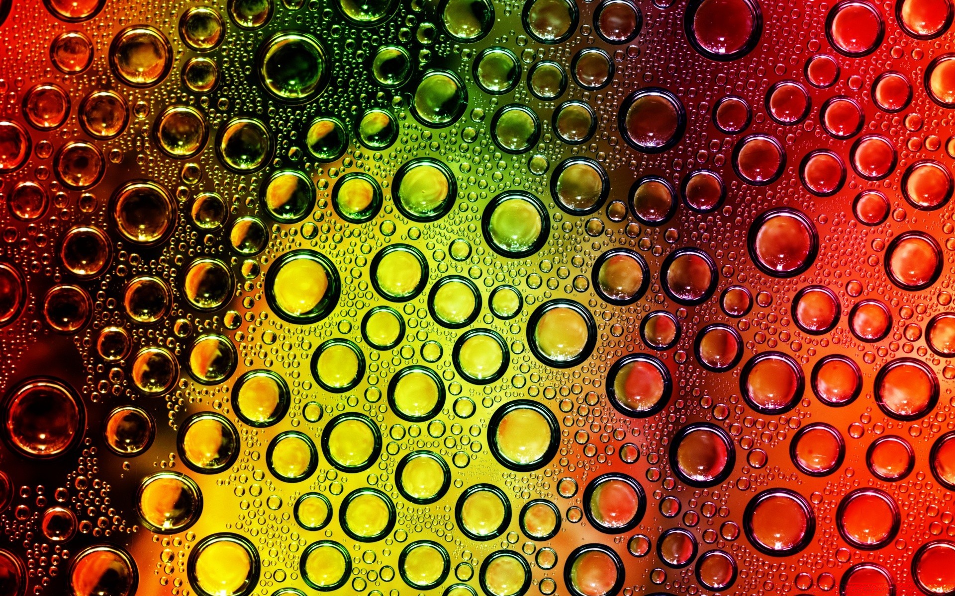 droplets and water wet dew desktop drop texture rain abstract bright shining pattern clean water color turquoise liquid droplet bubble reflection round