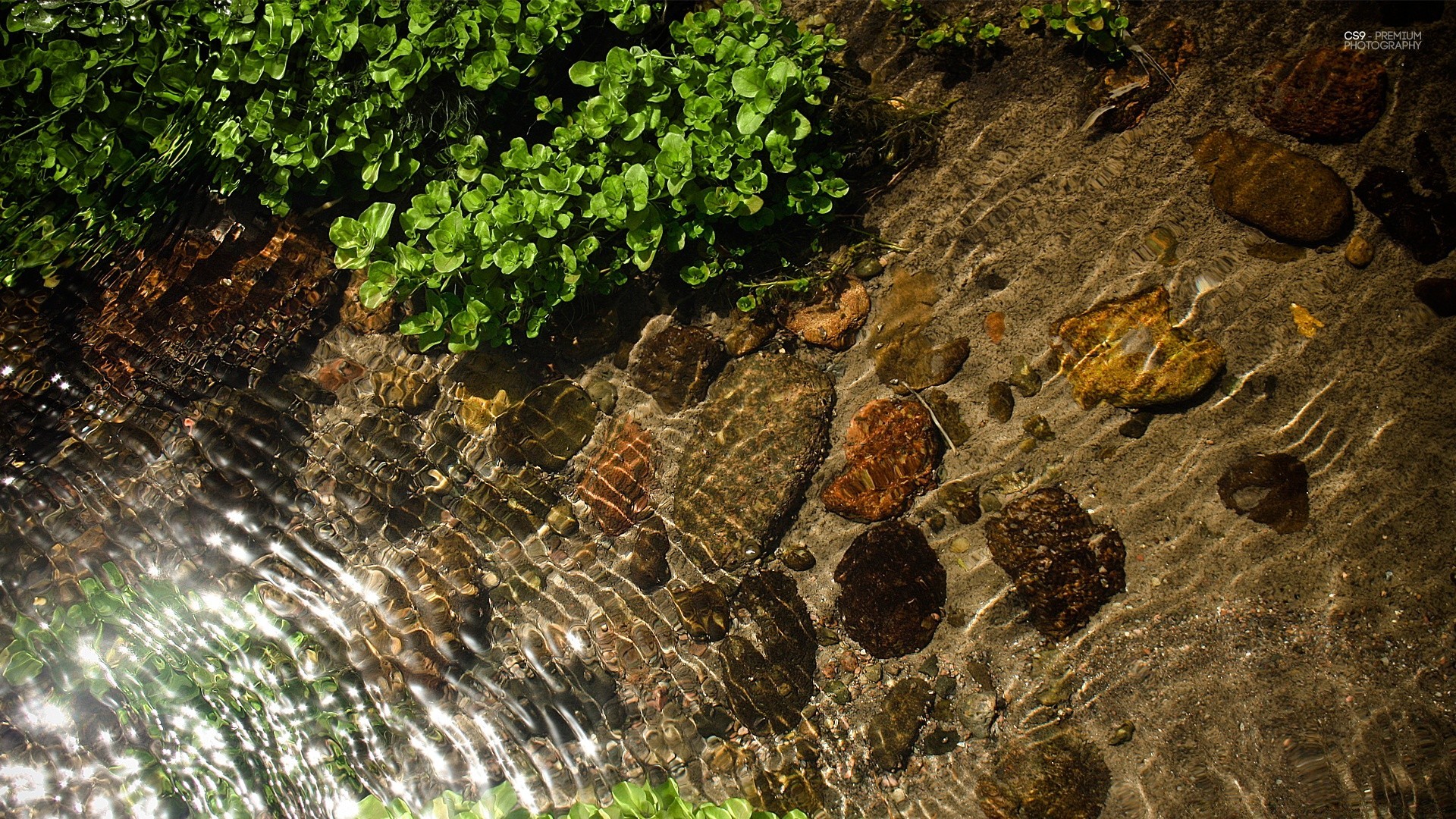 水滴和水 自然 水 石头 岩石 桌面