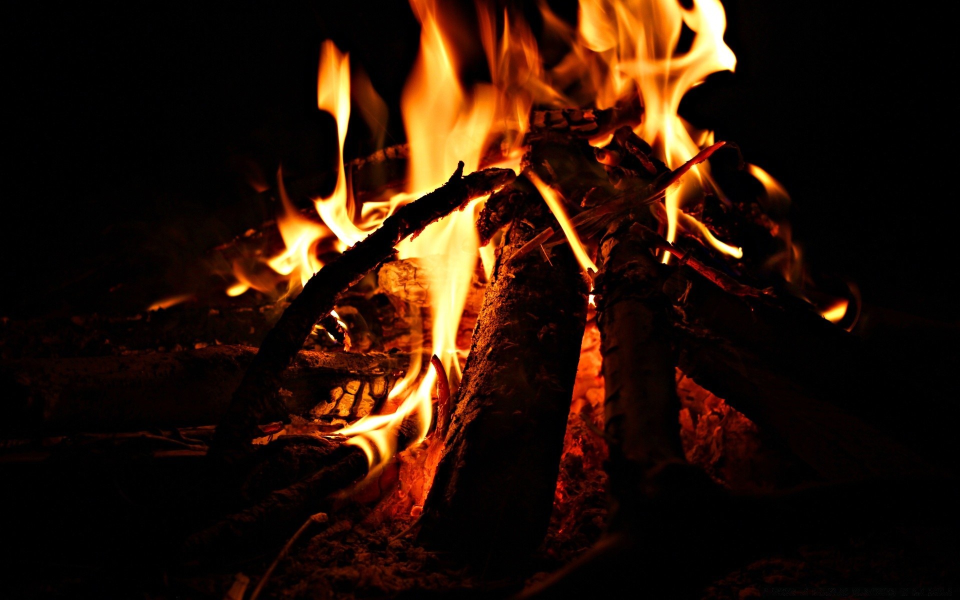 fogo chama fogueira quente fogueira lareira calor lenha queimar carvão calor inflamar inferno queimado blaze cinza inflamável fumaça perigo fogo carvão