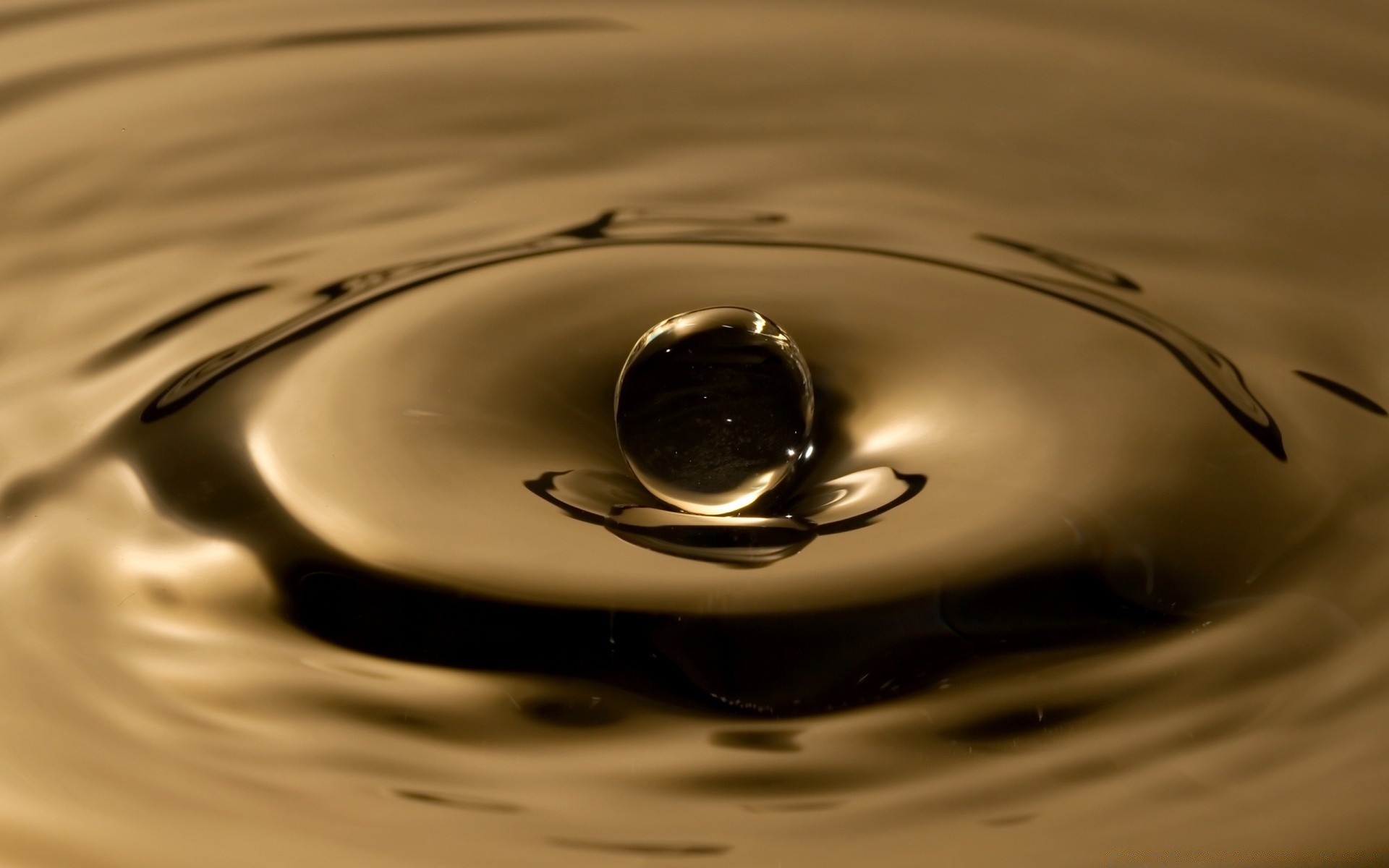 water reflection wave splash drop droplet still life drink ripple rain moment liquid motion abstract beach wet blur cold purity