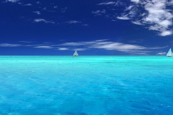 Sailing ships on the blue ocean