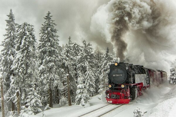 The locomotive rushes through the snow-covered taiga