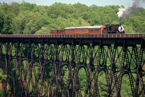 Il treno viaggia su un ponte molto alto