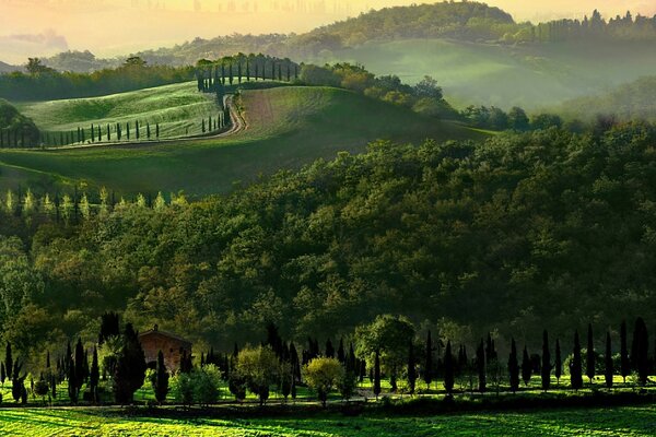 The image of the green forest of izosh on which the grass mountains and houses are located