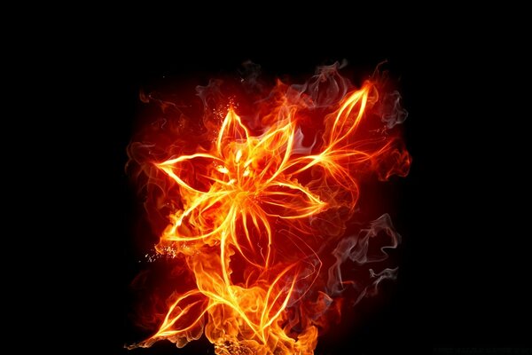 Цветок в пламени огня оранжевого и красного цвета