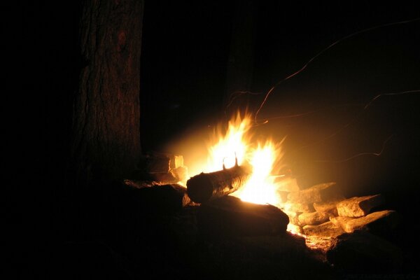 The flame of a night fire in the forest