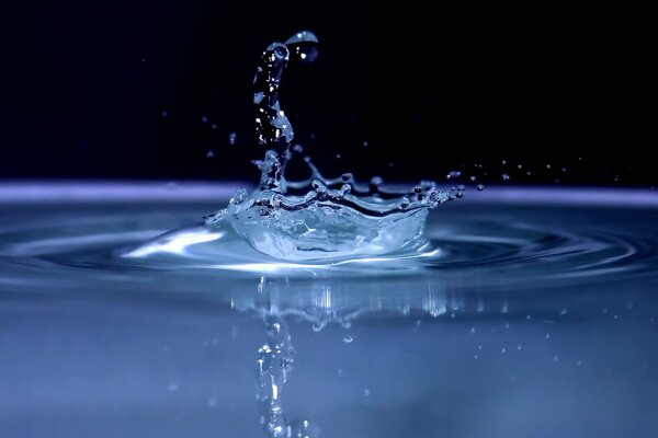 A drop falls into a puddle on a dark background