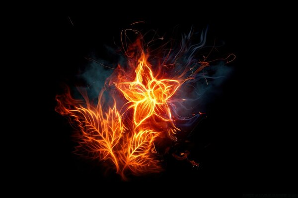 Imagem de uma flor de uma chama em um fundo preto