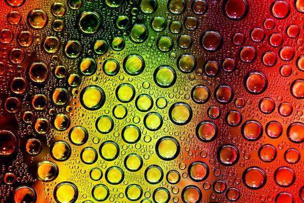 Dew droplets on a sealed window