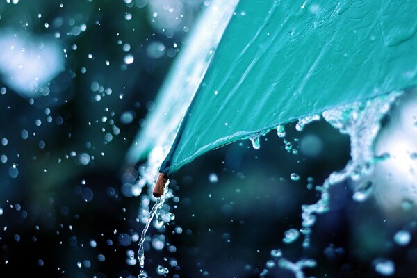 Vom Regenschirm tropft Wasser, Regen