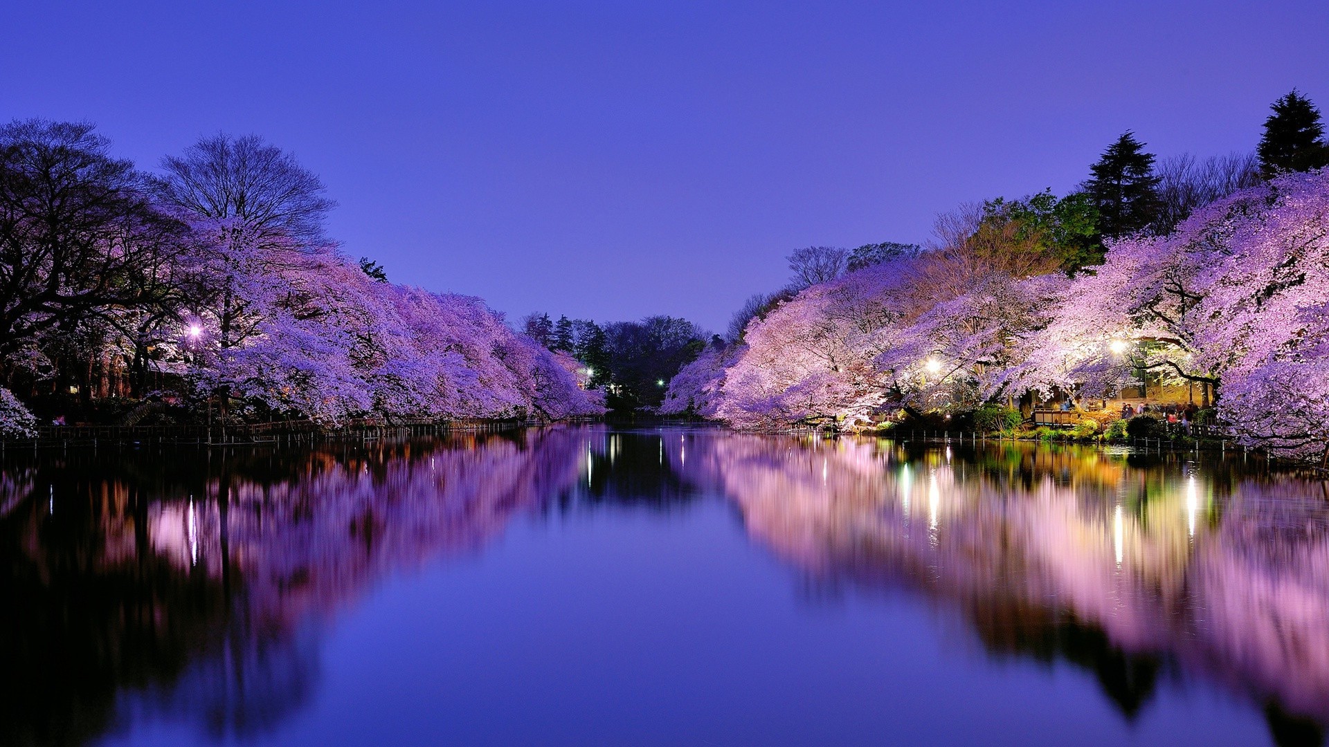 city and architecture reflection lake water nature tree landscape dawn sunset sky park river color scenic evening summer