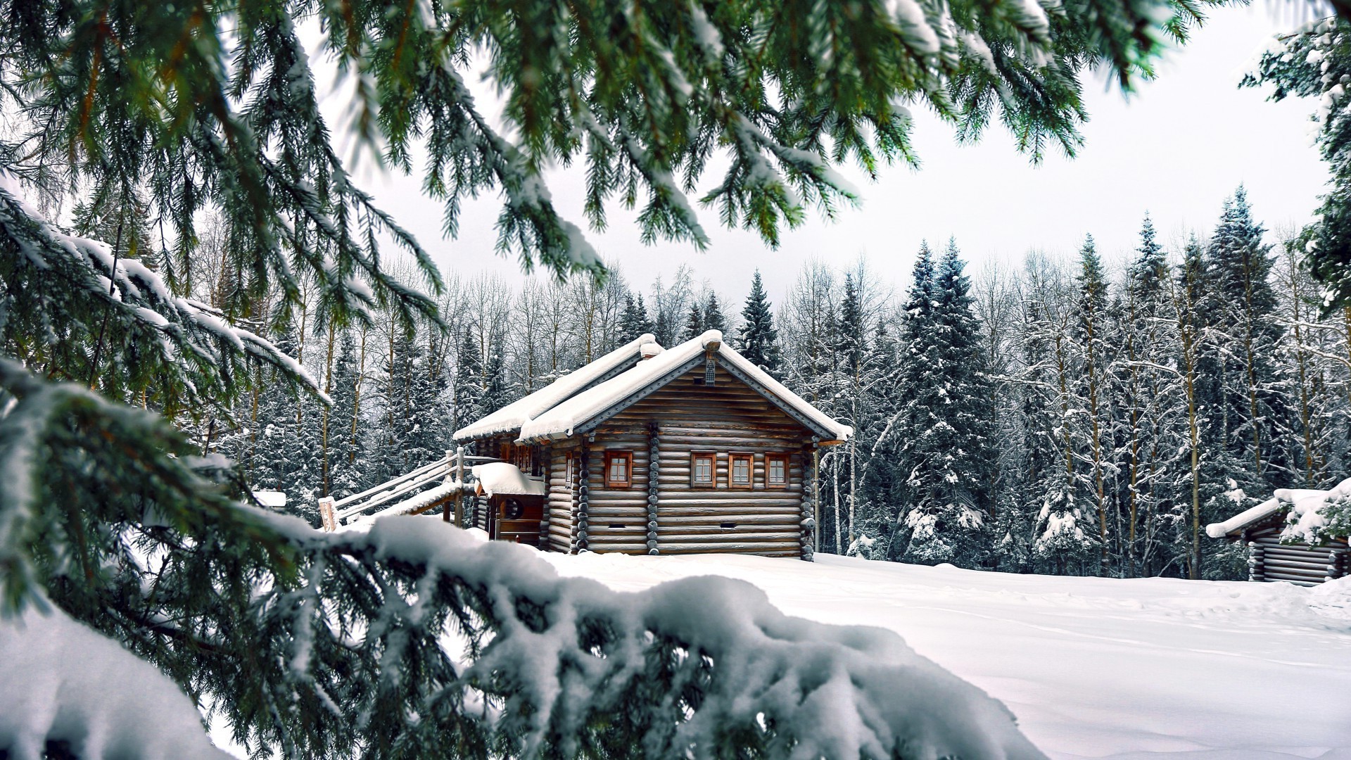 inverno neve legno albero freddo resort evergreen congelato gelo abete stagione ghiaccio scenic pino capanna chalet paesaggio casa montagna