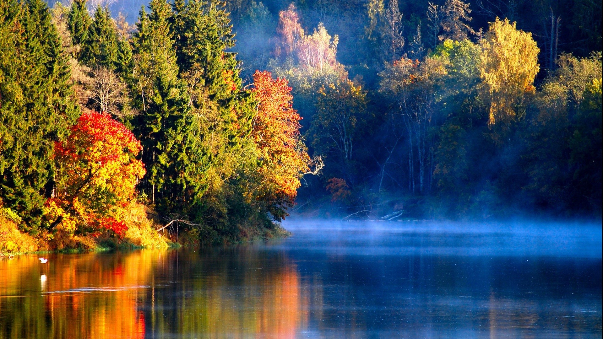 lago otoño agua madera al aire libre hoja naturaleza árbol paisaje escénico río amanecer salvaje sangre fría