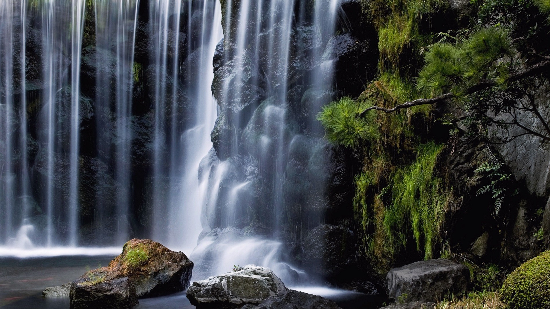 cascate cascata acqua natura fiume legno all aperto autunno roccia viaggio flusso bagnato cascata paesaggio movimento purezza selvaggio montagna albero foglia