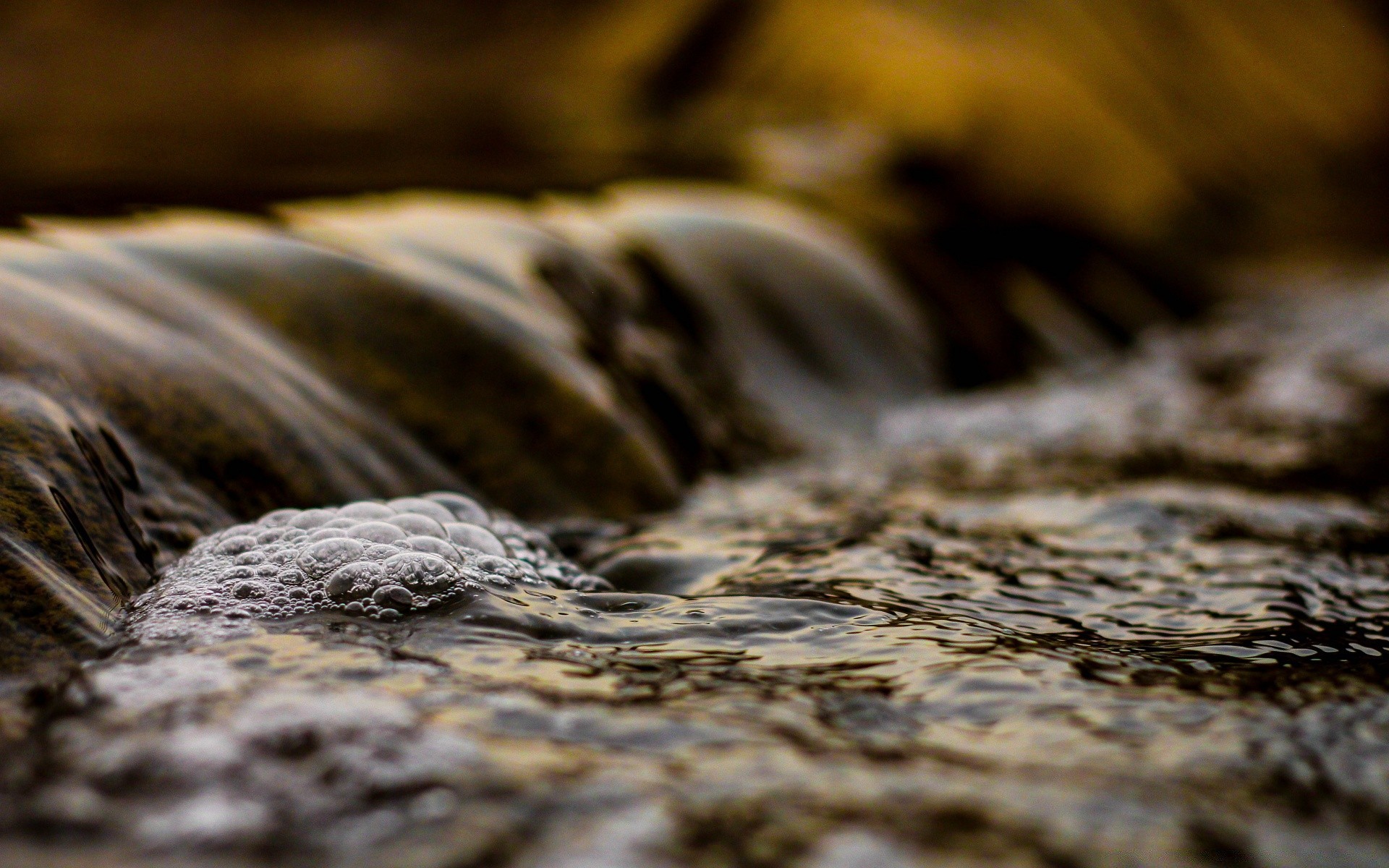 acqua natura legno sfocatura spiaggia desktop close-up all aperto