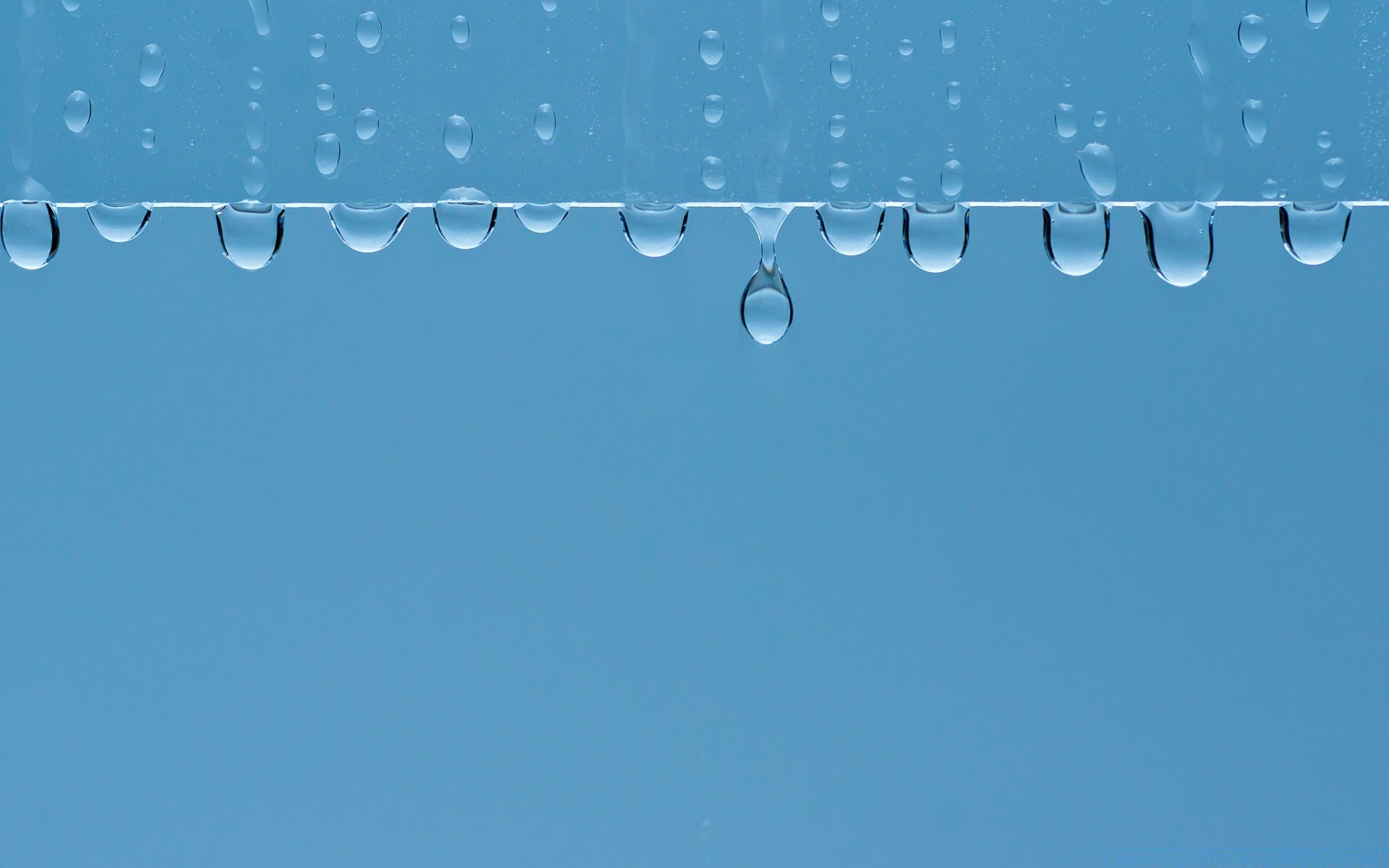 水滴和水 干净 清澈 雨 抽象 水 天空 湿 冷 桌面 绿松石 自然 光 秋天