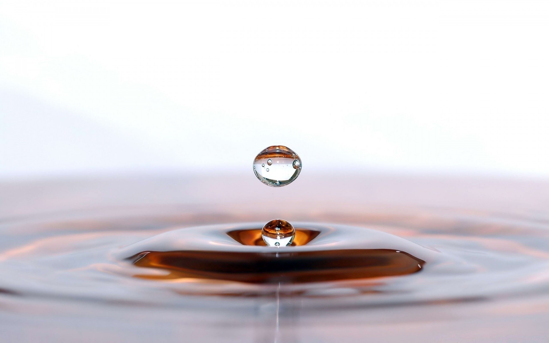 gotas y agua gota reflexión agua limpio lluvia mojado salpicaduras gotas líquido naturaleza limpio suave movimiento naturaleza muerta acción ondulación onda burbuja zen