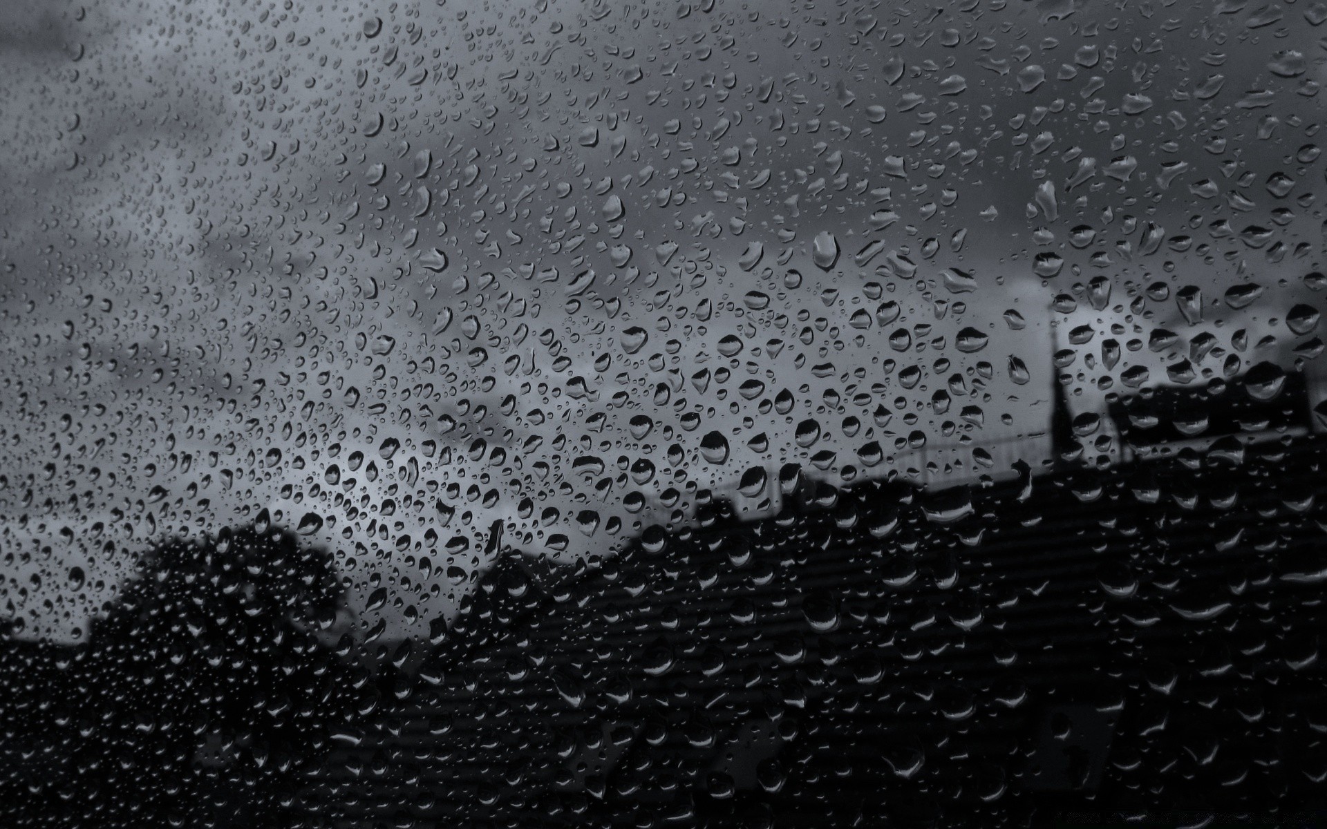 droplets and water rain drop wet droplet dew drink water liquid glass texture desktop rainy bubble abstract raindrop wash splash clean light