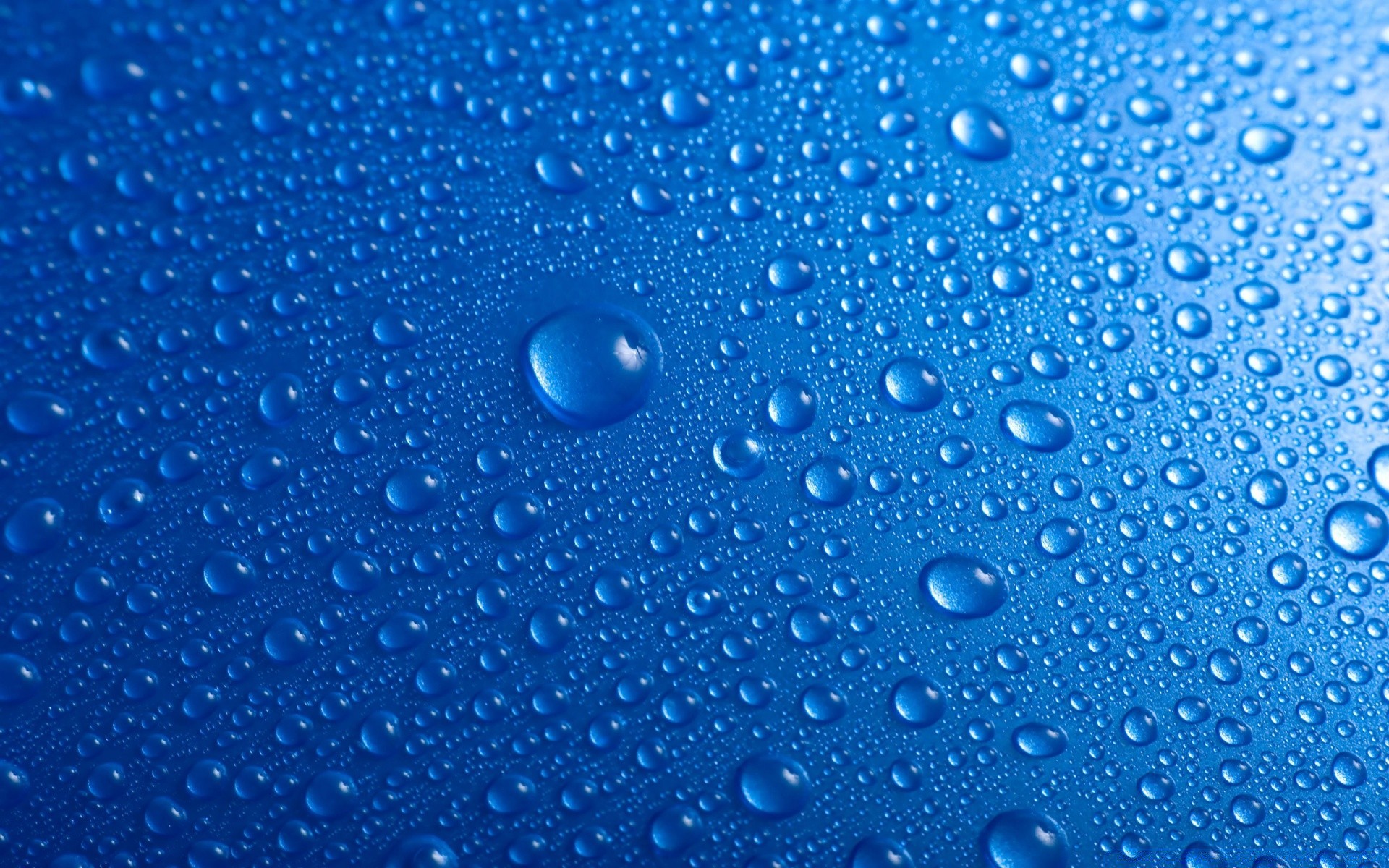 droplets and water rain wet dew drop droplet clean turquoise bubble clear water raindrop wash splash liquid purity pure waterdrop light rainy