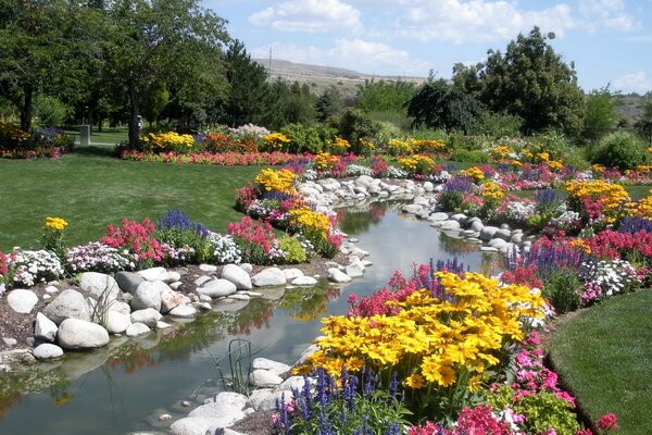 Ein gewundener Bach mit weißen Steinen entlang der Ufer, der mitten in einer Blumenwiese fließt