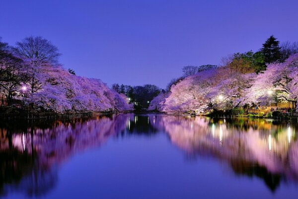 Lisse comme un miroir rivière en couleur lilas