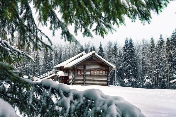 Holzhaus im Winterwald