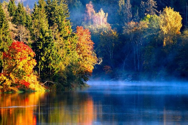 Herbst in der Reflexion des Sees. Naturwunder