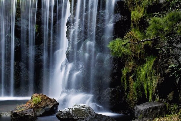 Cascata in tutta la sua gloria. Natura