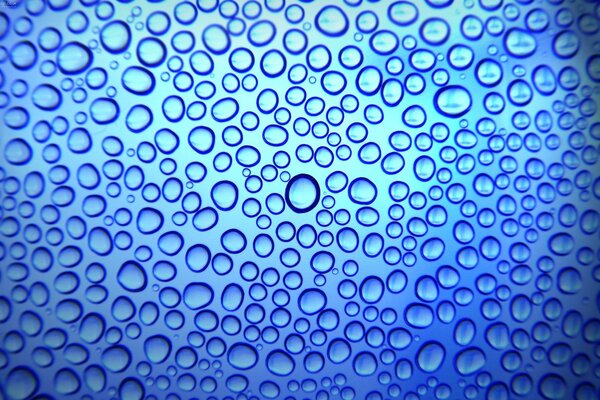 Raindrops under the microscope