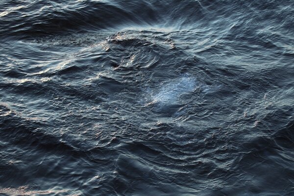 Lead waves on the ocean surface