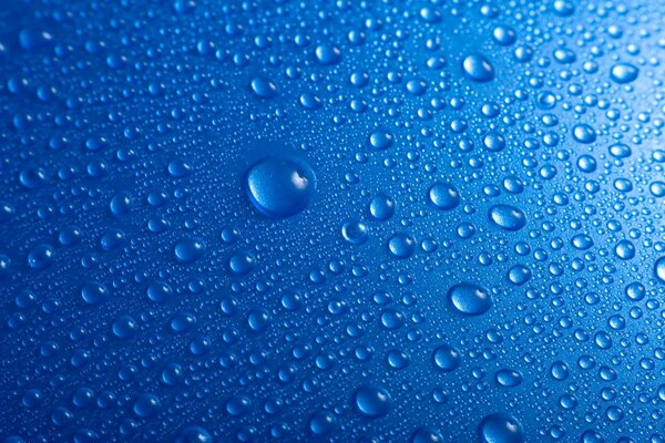 Dew drops on a blue background