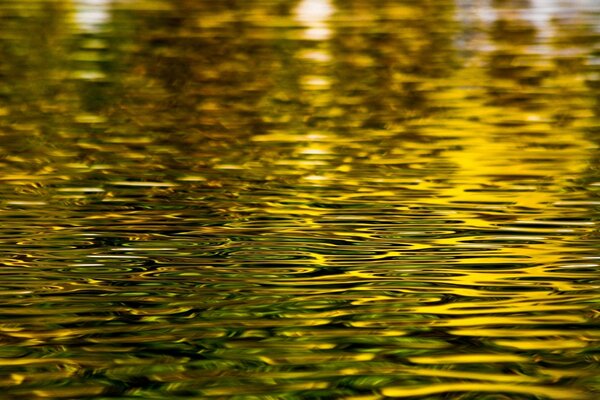 Reflection of the city illumination in the water