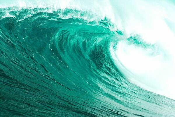 Turquoise high wave的照片