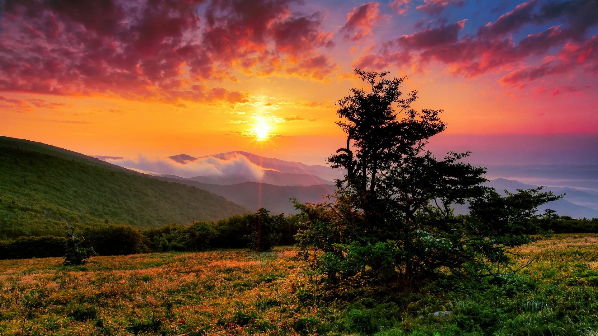 the sunset and sunrise sunset landscape dawn sun nature sky tree evening dusk fair weather summer light outdoors