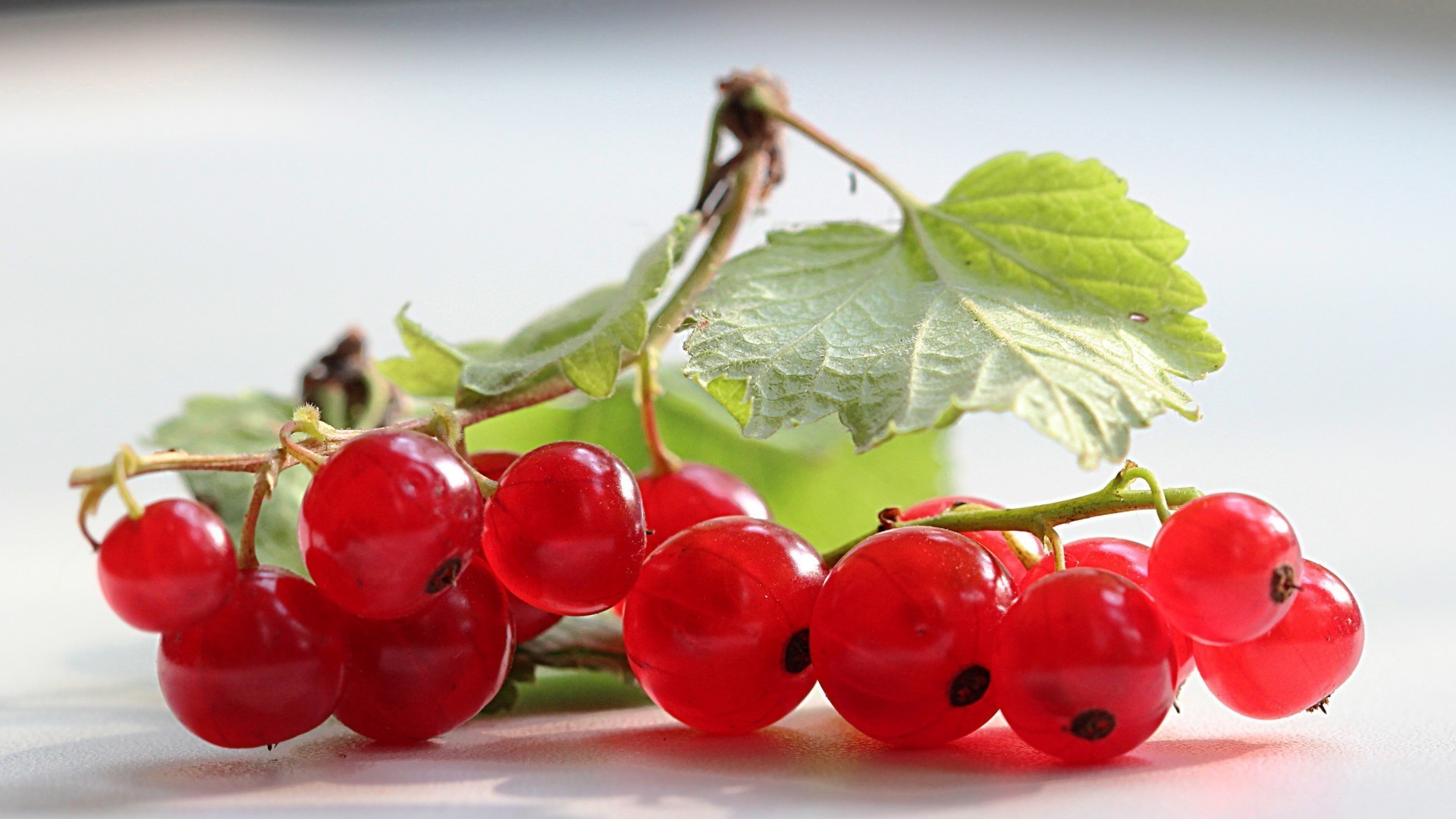 baies baie fruits juteux feuille alimentaire en bonne santé délicieux santé délicieux alimentaire confiserie nature groseilles alimentation pile pâturage vitamine aigre grandir