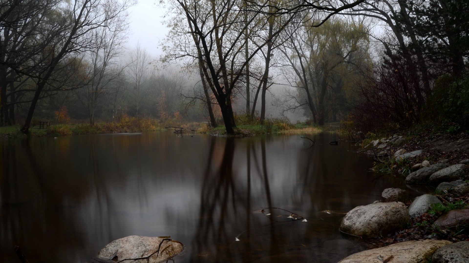 lake water reflection landscape river fall tree nature wood dawn outdoors flood fog