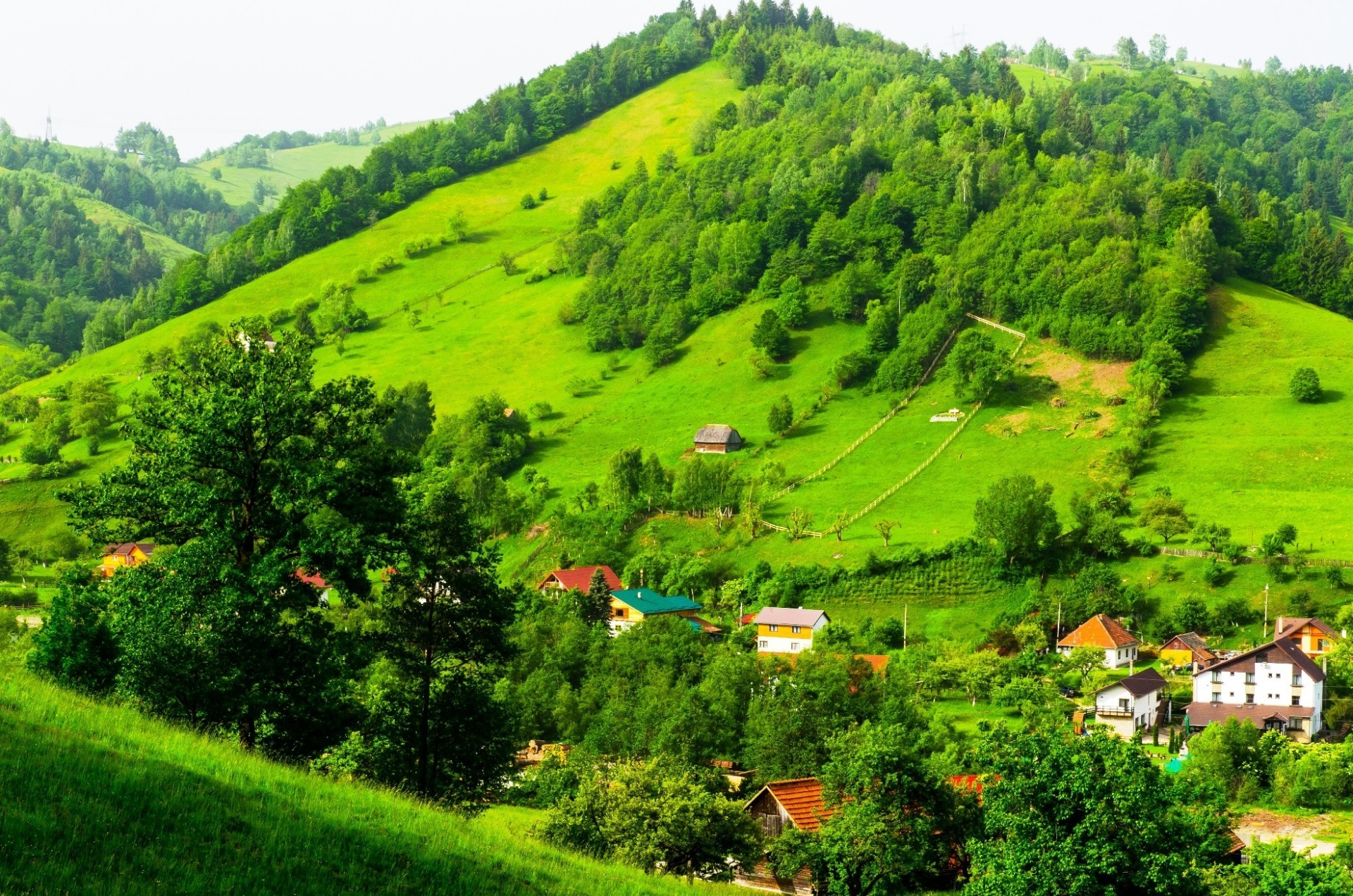 paysage colline paysage nature arbre agriculture montagne été bois vallée voyage pittoresque campagne champ à l extérieur rural foin ferme terres cultivées herbe