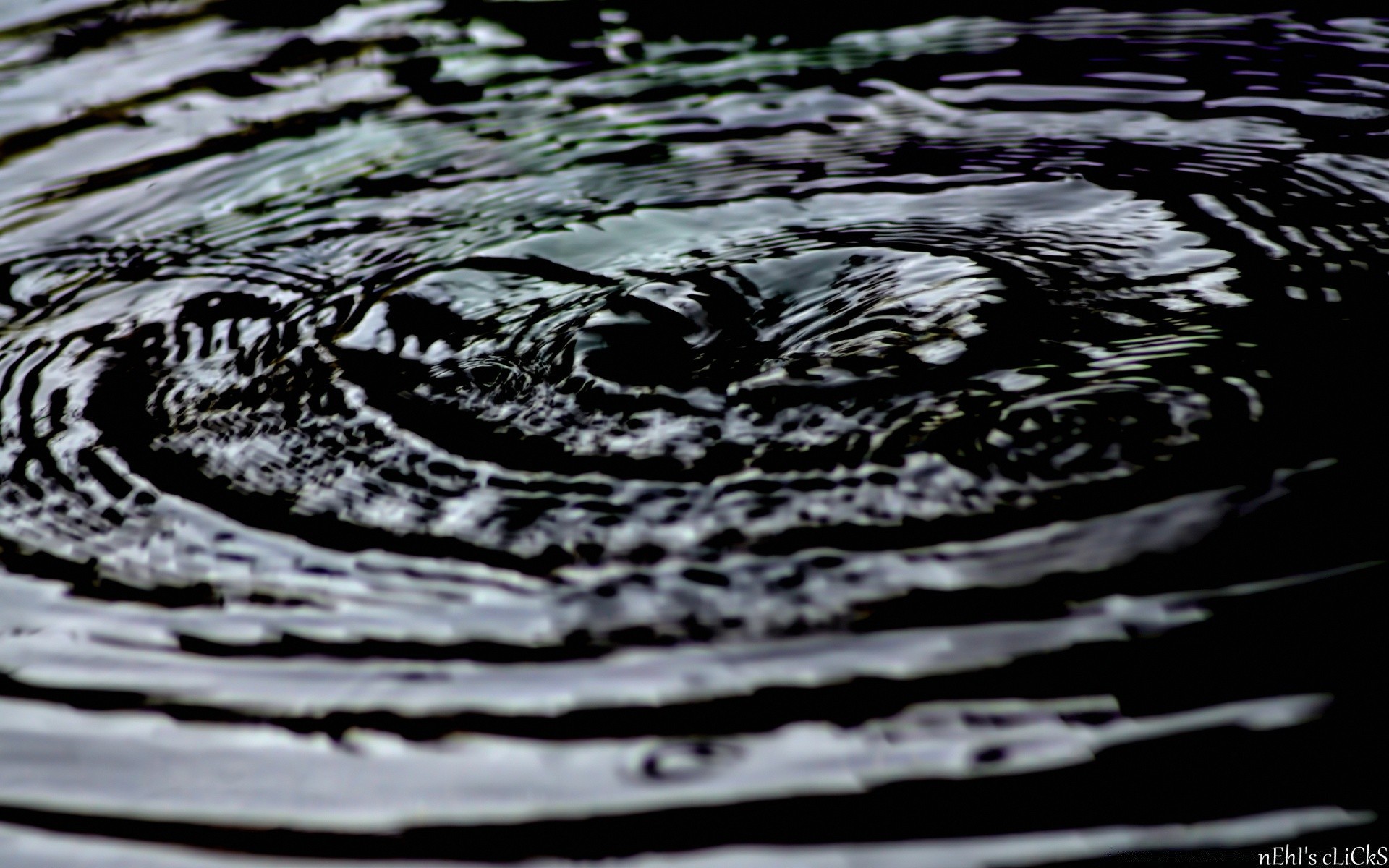 gotículas e água molhado água chuva queda natureza superfície reflexão respingo desktop onda limpo líquido resumo ondulação pureza frio liso textura