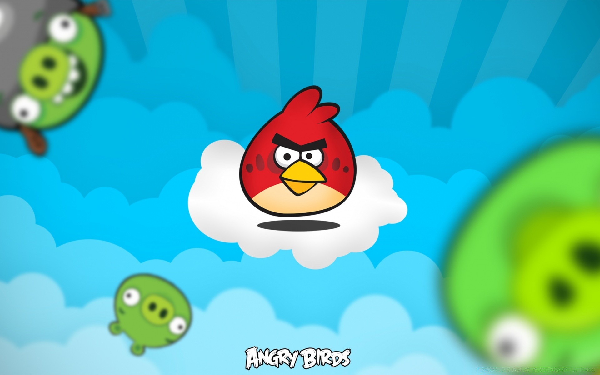 angry birds illustration fun sketch funny cute desktop design vector graphic animal