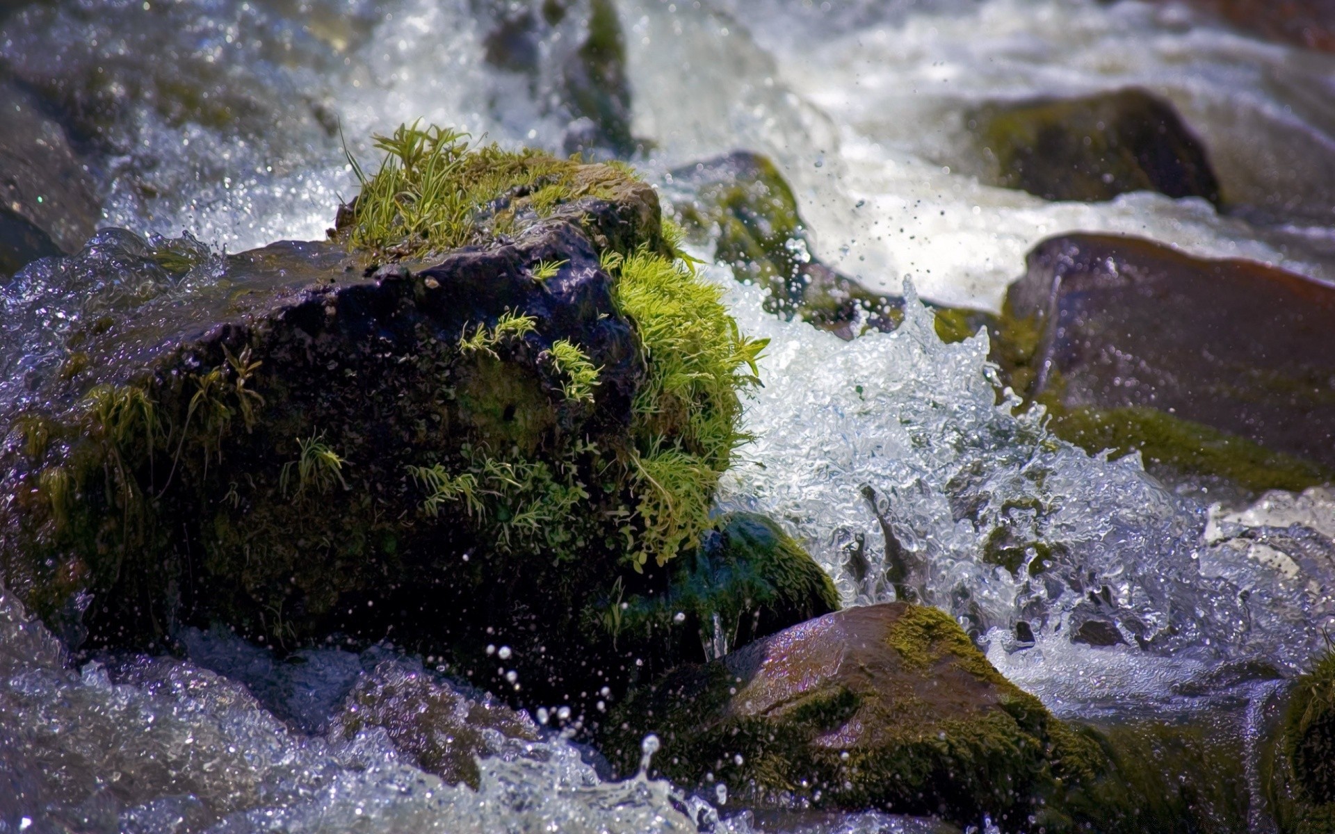 gotas y agua agua naturaleza roca piedra musgo al aire libre corriente paisaje medio ambiente mojado río viajes splash verano cascada corriente