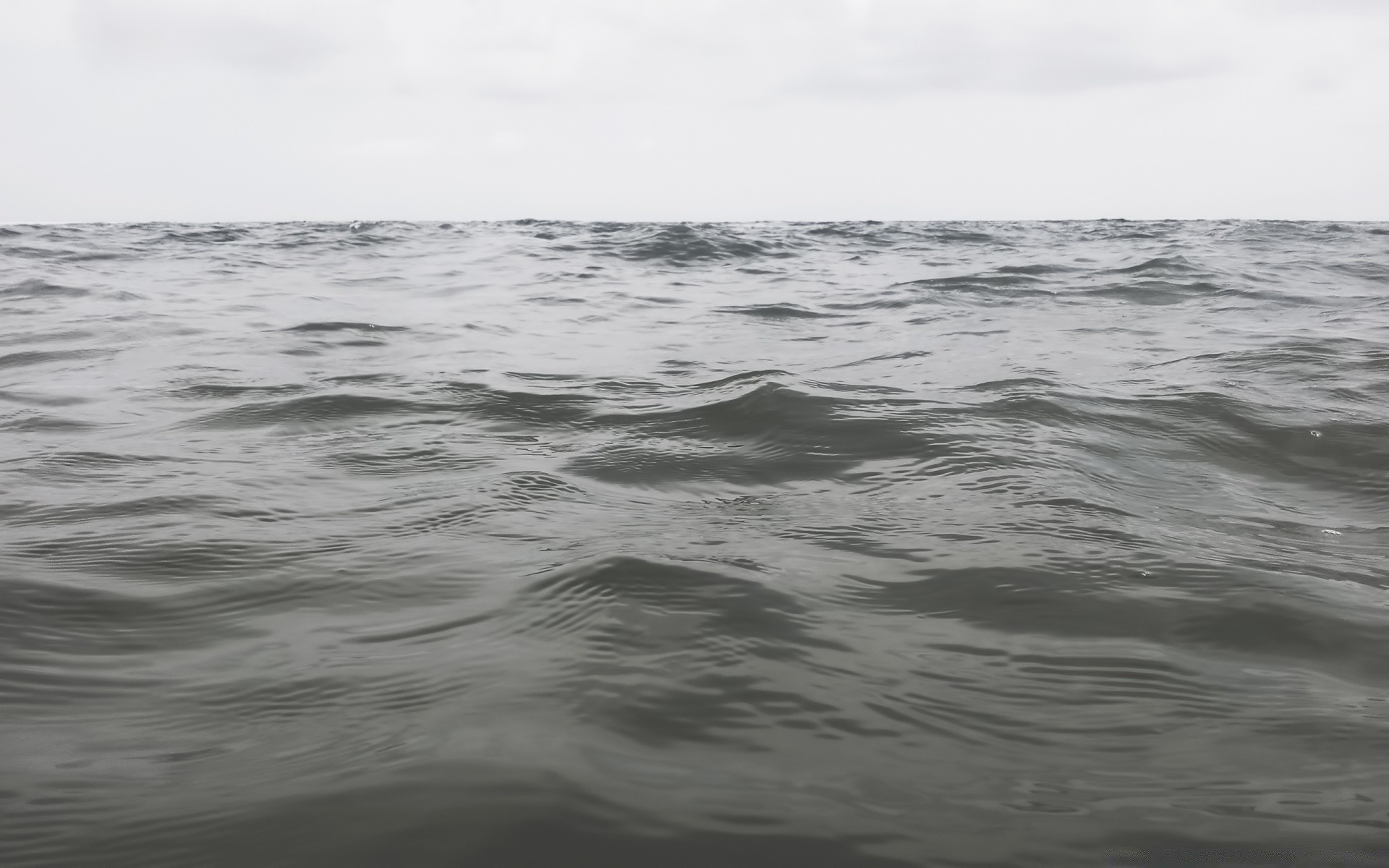 water sea ocean storm beach surf seascape wave wind seashore weather landscape nature reflection monochrome winter