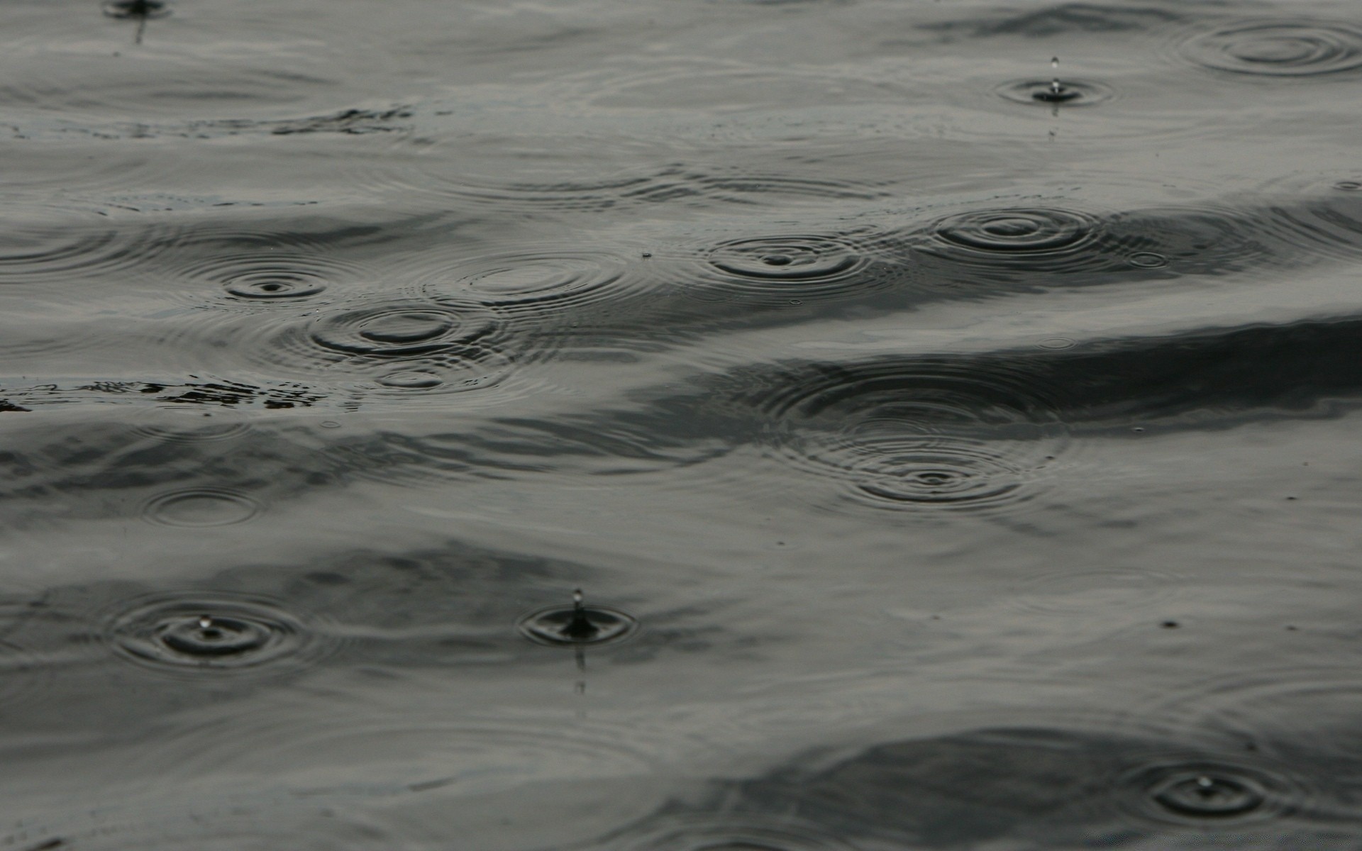 gouttelettes d eau plage océan eau réflexion mer mer vague ondulation splash humide sable lac marée côte propreté surf paysage paysage