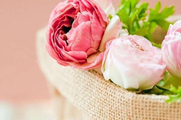 Planters in burlap made of bouquet miniature rosebuds