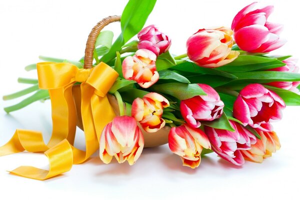 Tulipes cadeau pour Pâques